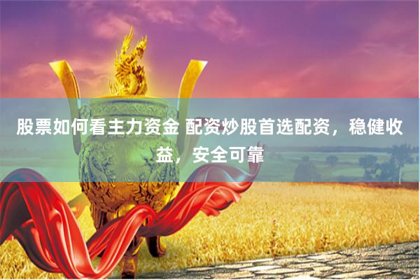 股票如何看主力资金 配资炒股首选配资，稳健收益，安全可靠