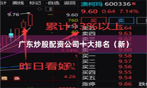 广东炒股配资公司十大排名（新）