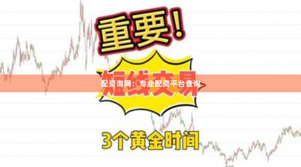 配资询网：专业配资平台查询