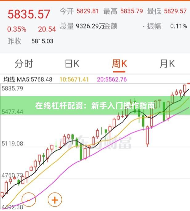 在线杠杆配资:新手入门操作指南